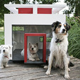 Dog Mansions