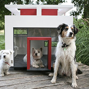 Dog Mansions