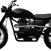Hammarhead Motorcycles