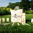 VKing