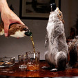 The End of History Beer