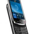 Blackberry Torch