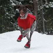 Bark'n Boots Polar Trex