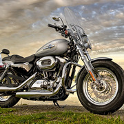 Harley-Davidson H-D1 Customization