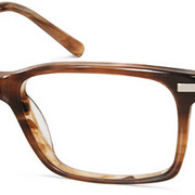 Warby Parker 2011 Eyewear